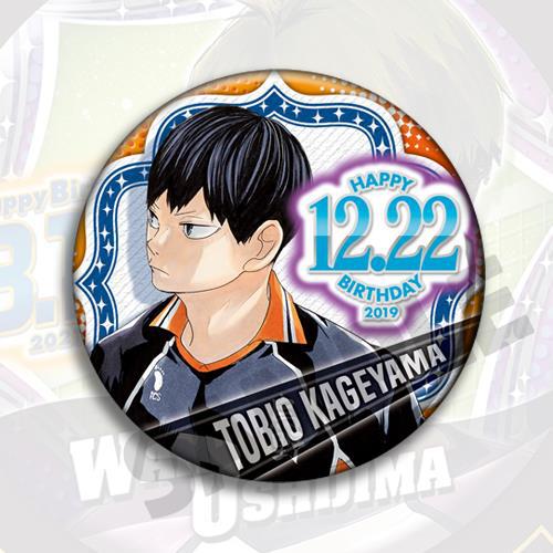 Волейбольный значок по аниме H – обзор и цена Anime Merchandise Haikyuu
